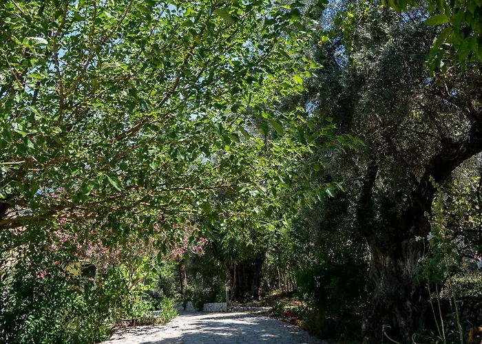 דירה Vliho Bay & Yénion