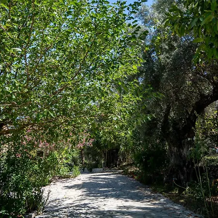 דירה Vliho Bay & Yénion